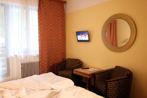 Hotel Medlov