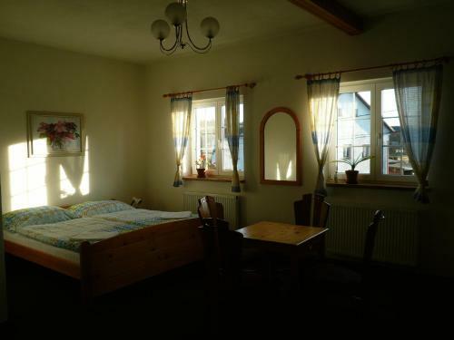 Hostal Penzion U Stud�nky