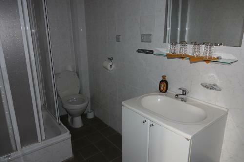 Hostal Penzion U Stud�nky