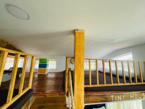 Venadillo Roca S�lida