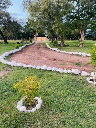 Venadillo Roca S�lida