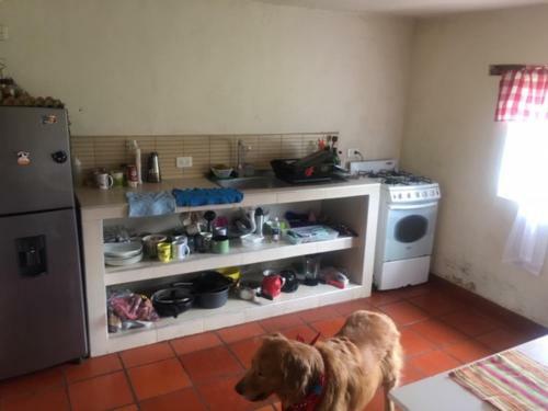 Finca San Carlos 100% Pet Friendly