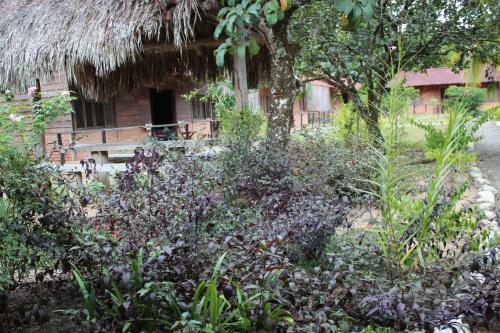Agroturismo Caba�as Campestres La Aurora Del Llano
