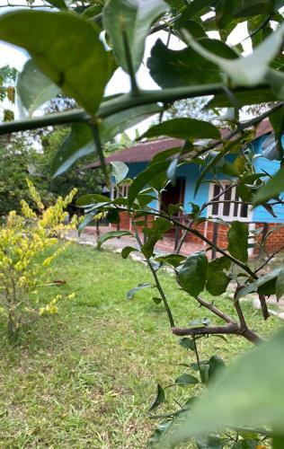 Agroturismo Caba�as Campestres La Aurora Del Llano