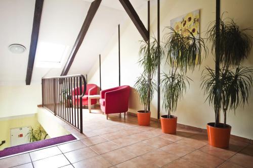 Hostal U Heligonky