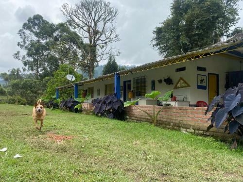 Agroturismo Las Hamacas (hospedaje Rural)