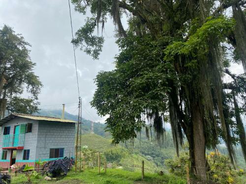 Agroturismo Las Hamacas (hospedaje Rural)