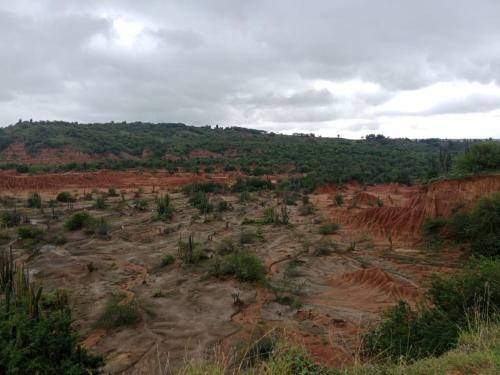 Bed & Breakfast Hostal Makesa Tatacoa
