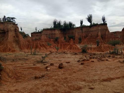 Bed & Breakfast Hostal Makesa Tatacoa