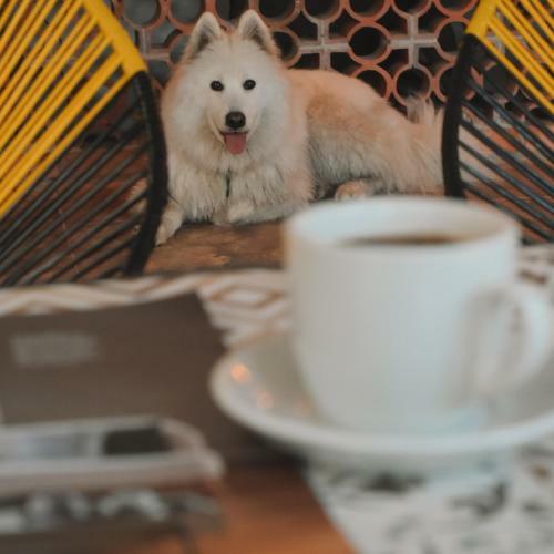Umbral Hotel Boutique