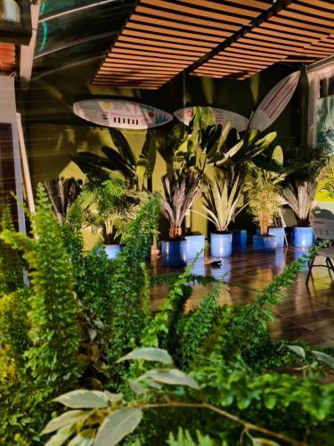 Hotel Florentina