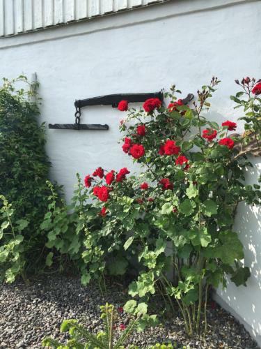 Vejle Golf Bed & Breakfast