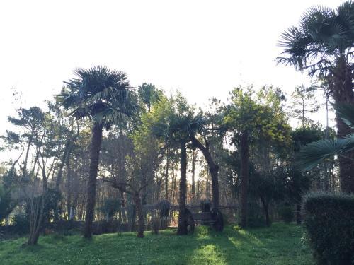Bed & Breakfast Agro Da Gandarela