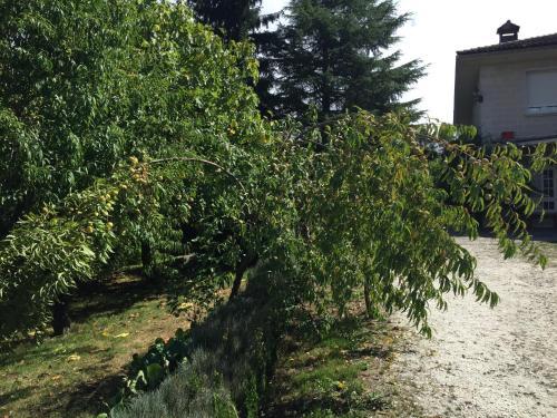 Bed & Breakfast Agro Da Gandarela