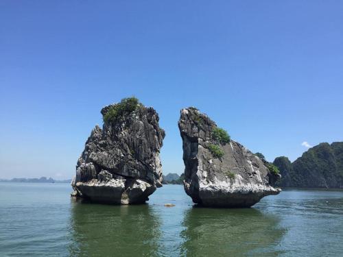 Bai Tu Long Junks