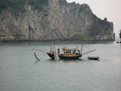Bai Tu Long Junks