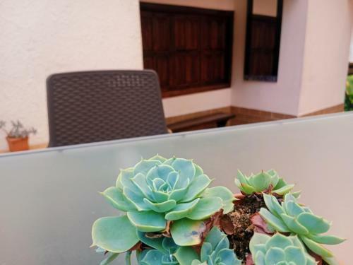 Apartamento Campestre Con Piscina Villa Lucy