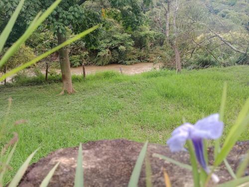 Apartamento Campestre Con Piscina Villa Lucy