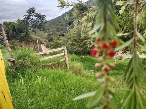 Apartamento Campestre Con Piscina Villa Lucy