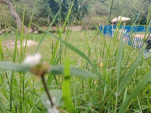 Apartamento Campestre Con Piscina Villa Lucy