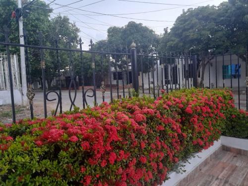 Aparta Estudio Perla Roja
