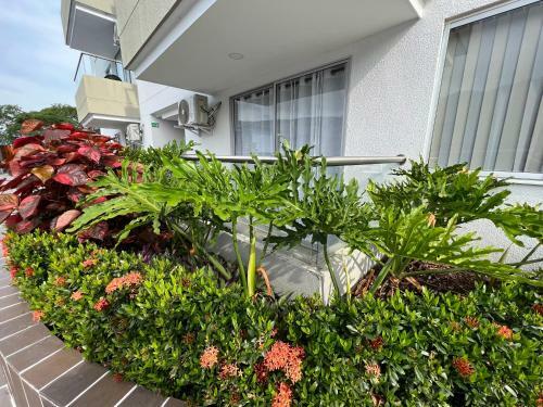 Oasis Apartamentos Tur�sticos, San Jer�nimo