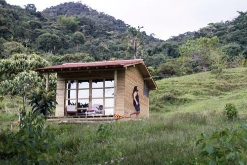 Camelia Hostel