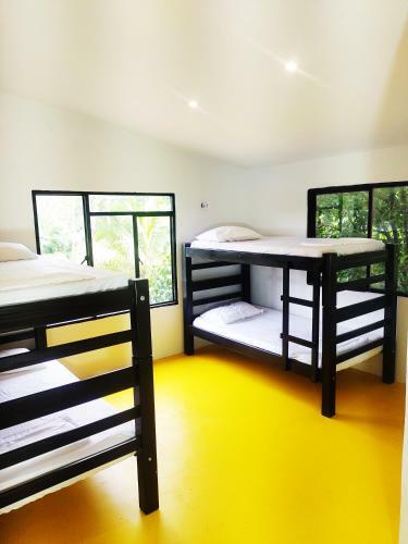 Hostal Amalaya Hostel
