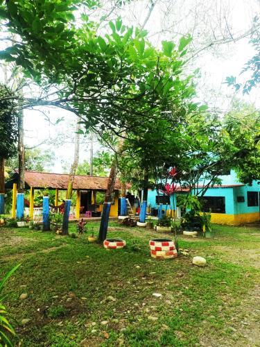Hostal Amalaya Hostel