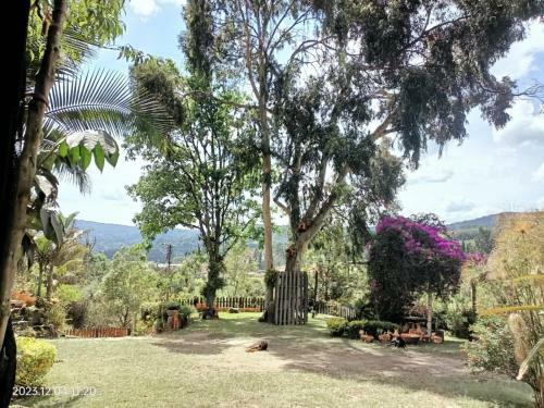 Villa Saturia