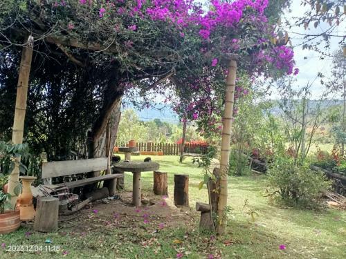 Villa Saturia