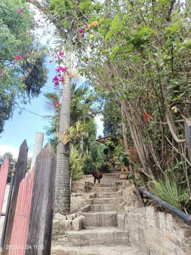 Villa Saturia