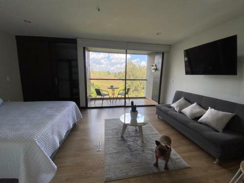 Apartamento Suite Llanogrande