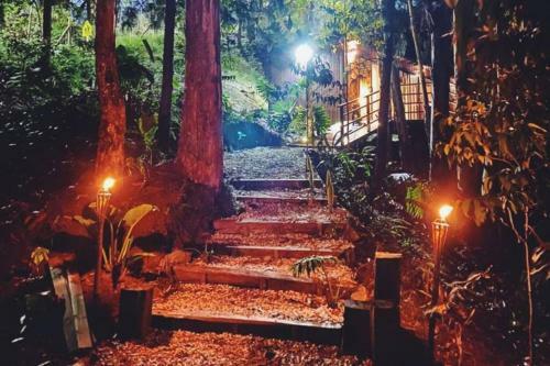 Manoah - Cabin In The Woods