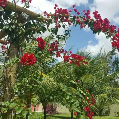 Hostal Pousada Macamirim