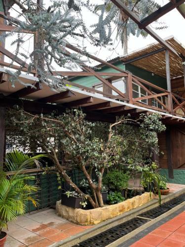 Hostal Amaruka