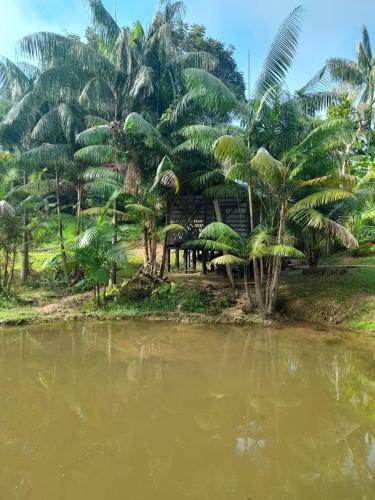Apartamento Caba�as Dechi