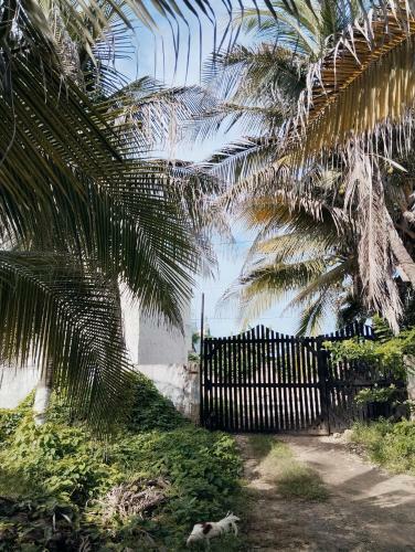 Hostal Azul Pr�ncipe