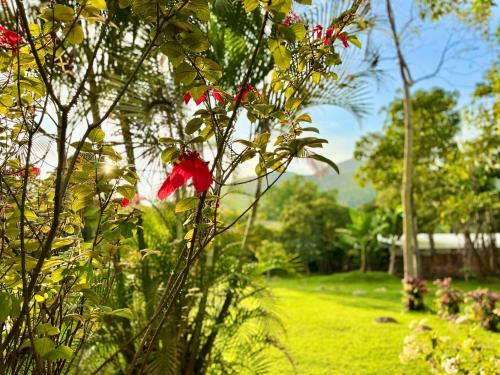 Finca Villa Melita, Privada En Piedecuesta