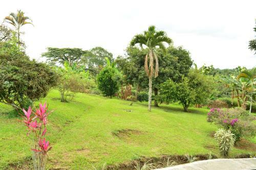 Finca Hotel Tradicion Cafetera