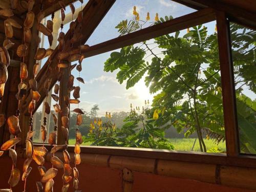 Playa Cataro Boutique Ecolodge A