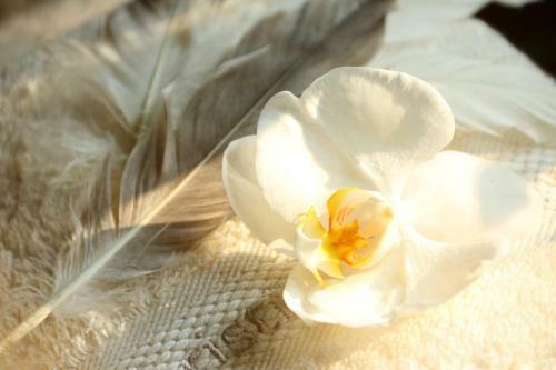 Bed & Breakfast Le Clos De B�n�dicte