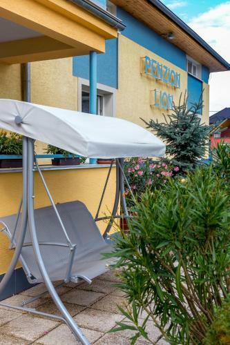 Hostal Penzion Lion