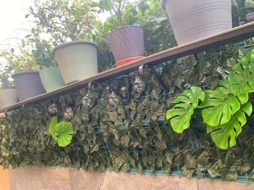 Apartamento Samaria 203b - Bello Horizonte