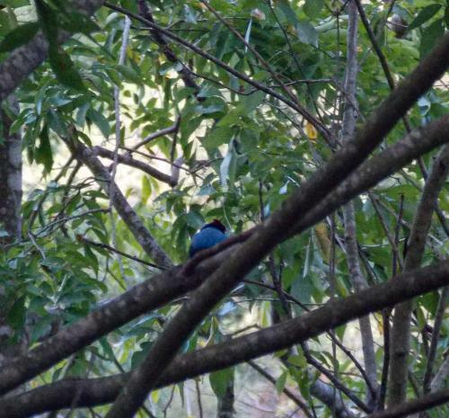 Tayrona Hostel Sm