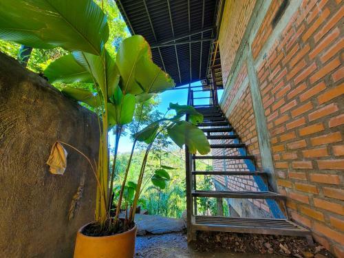 Albergue Casa Pistacho