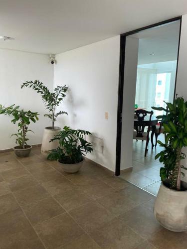 Apartamento Ni�a Sol