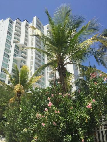 Apartamento Areia Beach Paradaise