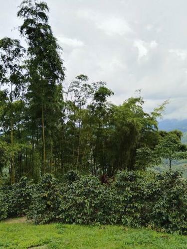 Caba�a Bella Vista