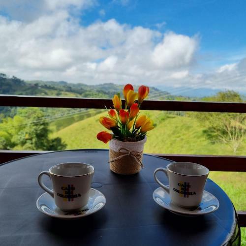 Hostal Villa Madeira Hospedaje